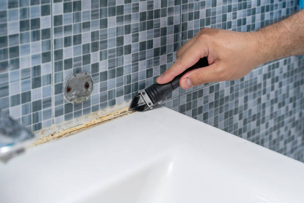 Best Mold Remediation for Specific Building Types in La Joya, TX